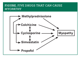 Valtrex ingredients zoloft